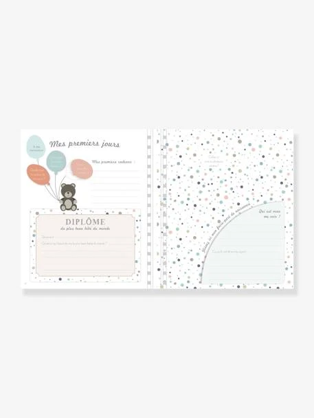 Livre De Naissance - Il était Une Fois Bébé LAROUSSE Bleu - Hachette – Image 4