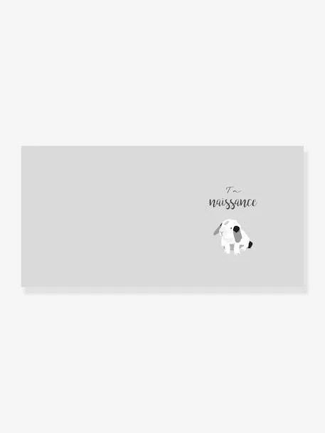 Livre De Naissance - Mon Livre De Bébé Mimi’lou HACHETTE PRATIQUE Blanc - Hachette – Image 3