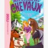Mes Amis Les Chevaux - T.35 - L'anniversaire De Sophie - HACHETTE Blanc - Hachette